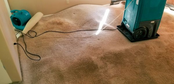 Cost of Flood Damage Cleanup in Palm Springs