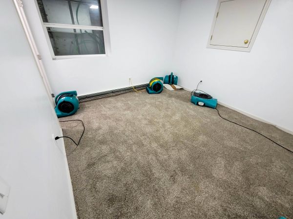 Flood Restoration Service in Palm Springs