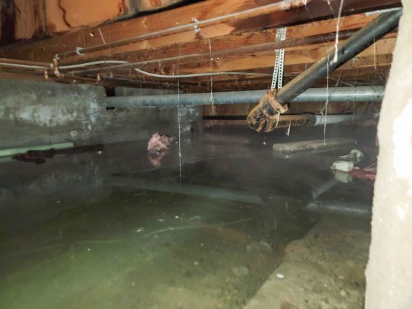 Water Mitigation Service in Palm Springs