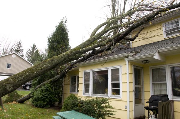 Hurricane Damage Repair in Palm Springs